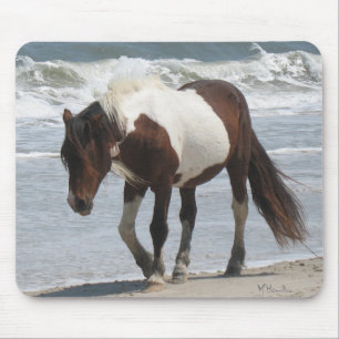 Assateague Island Pony Mouse Mat