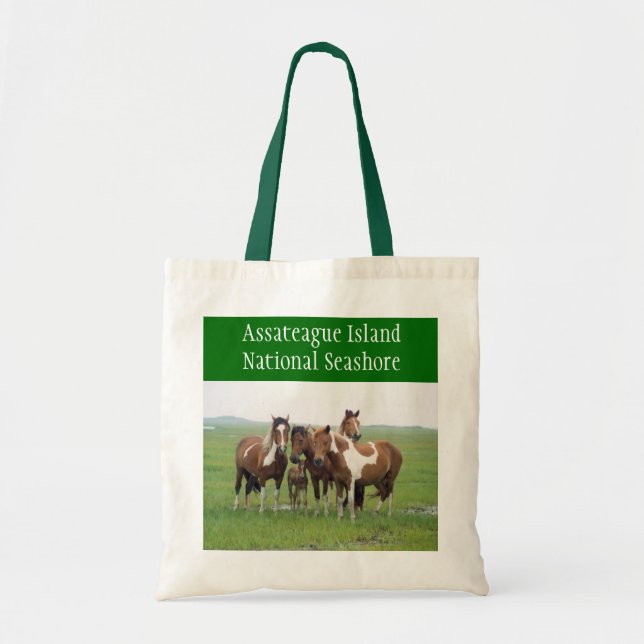 Assateague Island Tote Bag (Front)