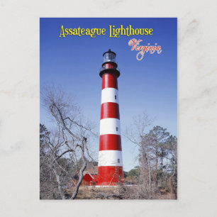 Assateague Lighthouse, Virginia Postcard
