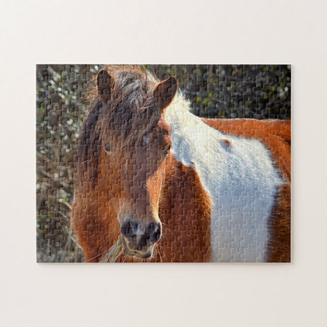 Assateague Pinto Mare Ms Macky Jigsaw Puzzle (Horizontal)
