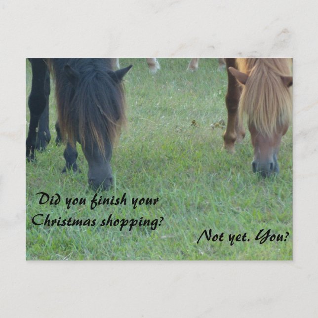 Assateague ponies Christmas cards and stamps (Front)