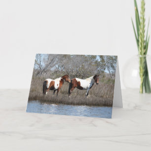 Assateague Ponies, Thank you Holiday Card