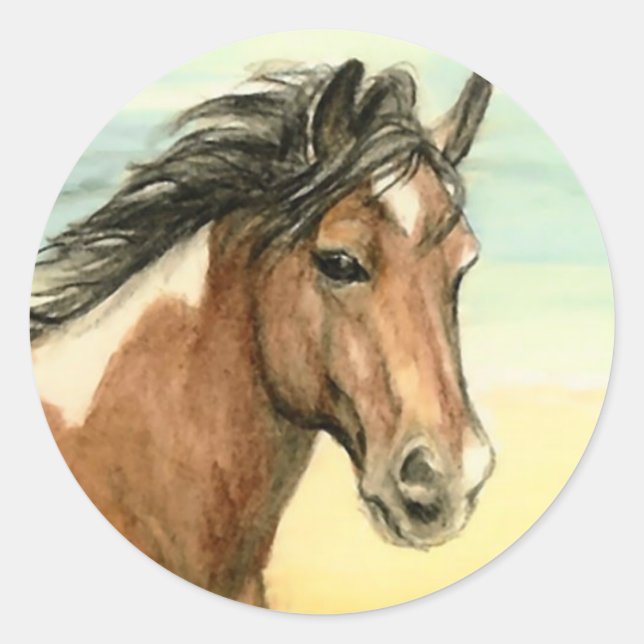 "Assateague Pony" Horse Art Sticker (Front)