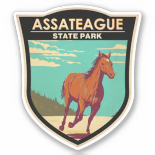 Assateague State Park Maryland Badge