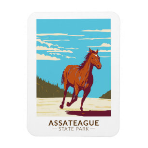 Assateague State Park Maryland Badge Magnet