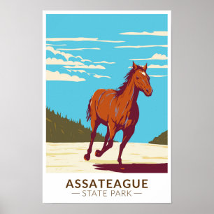 Assateague State Park Maryland  Poster