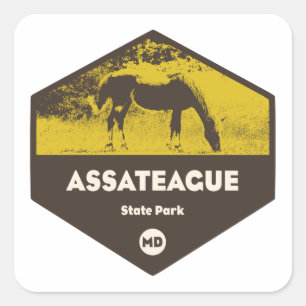 Assateague State Park Maryland Square Sticker