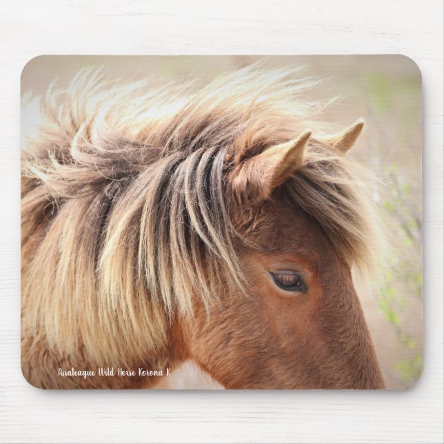 Assateague Wild Horse Mouse Mat (Front)