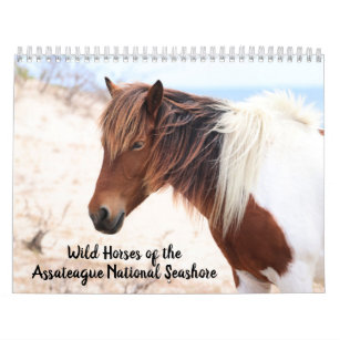 Assateague Wild Horses Calendar