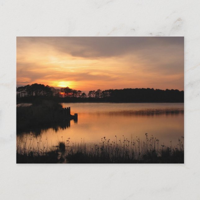 Assawoman Sunset Postcard (Front)