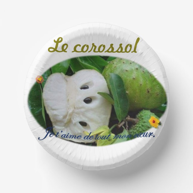 Assiette en carton paper plate (Front)