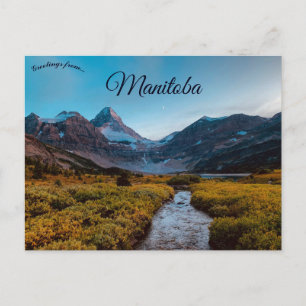 Assiniboine Park Winnipeg Manitoba Canada Postcard