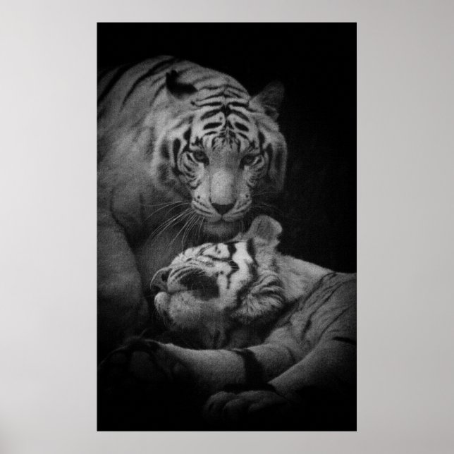 Assistance Required Poster (Front)