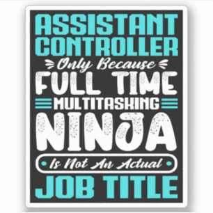 Assistant Controller Multitasker Job Title Skills