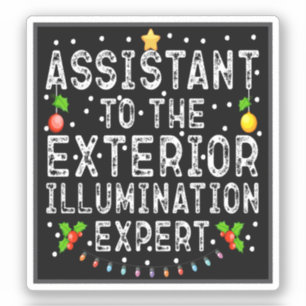 Assistant To The Exterior Illumination Expert Cool