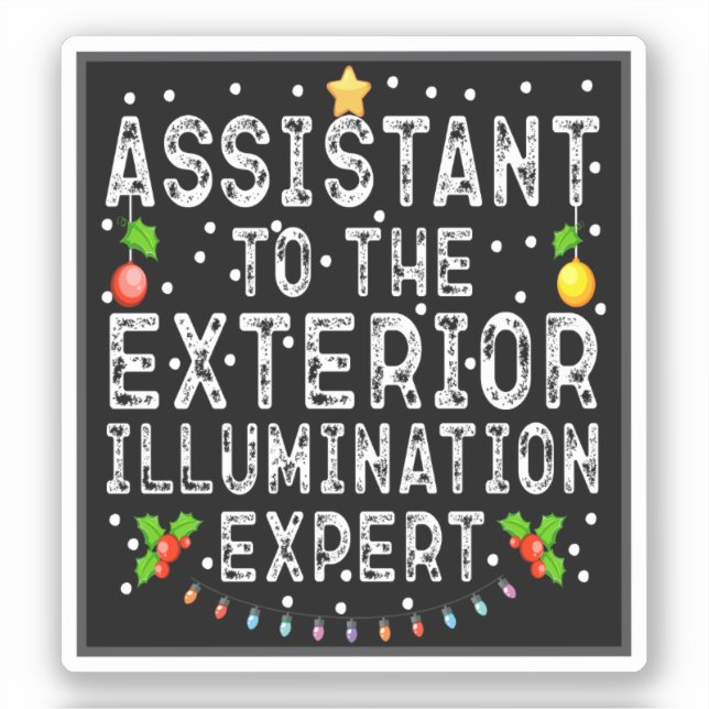 Assistant To The Exterior Illumination Expert Cool (Front)