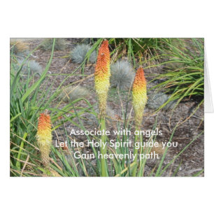 Associate With Angels