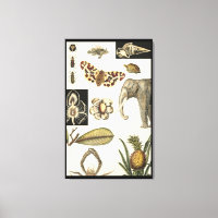 Assorted Animals Painted on Cream Background