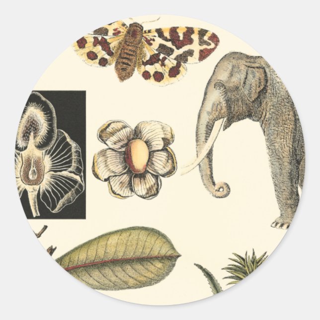 Assorted Animals Painted on Cream Background Classic Round Sticker (Front)