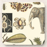 Assorted Animals Painted on Cream Background