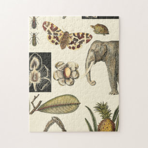 Assorted Animals Painted on Cream Background Jigsaw Puzzle