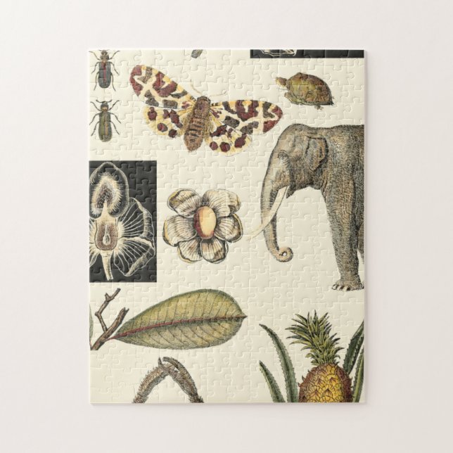 Assorted Animals Painted on Cream Background Jigsaw Puzzle (Vertical)