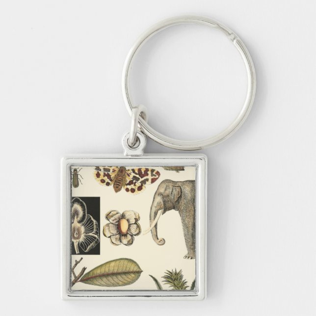 Assorted Animals Painted on Cream Background Key Ring (Front)