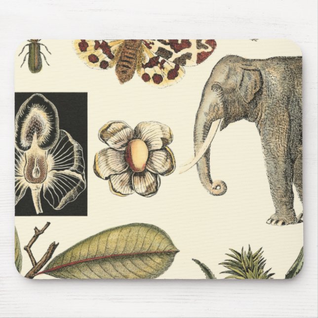 Assorted Animals Painted on Cream Background Mouse Mat (Front)