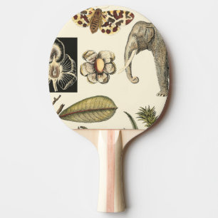 Assorted Animals Painted on Cream Background Ping Pong Paddle