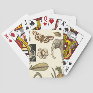 Assorted Animals Painted on Cream Background Playing Cards