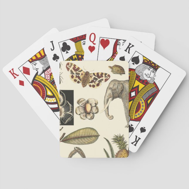 Assorted Animals Painted on Cream Background Playing Cards (Back)