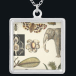 Assorted Animals Painted on Cream Background Silver Plated Necklace<br><div class="desc">The wonders of nature are shown in this piece by Vision Studio. Creepy insects mix with an elephant,  butterfly and other assorted animals. If you love nature this is the print for you!</div>