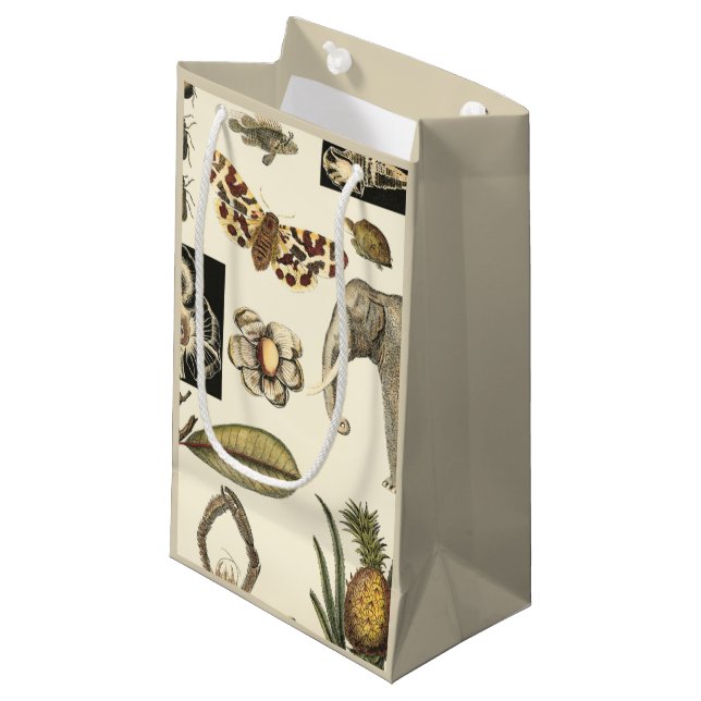 Assorted Animals Painted on Cream Background Small Gift Bag (Front Angled)