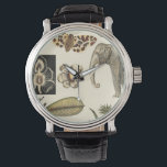 Assorted Animals Painted on Cream Background Watch<br><div class="desc">The wonders of nature are shown in this piece by Vision Studio. Creepy insects mix with an elephant, butterfly and other assorted animals. If you love nature this is the print for you!</div>