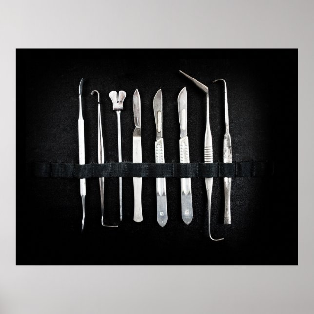 Assorted Antique Embalming Tools Poster (Front)