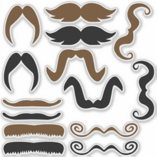 Assorted Black and Brown Moustache