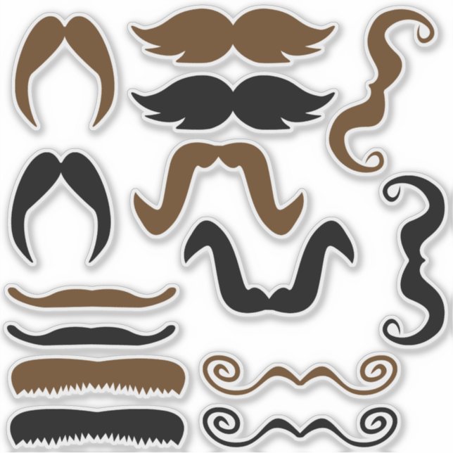 Assorted Black and Brown Moustache (Front)