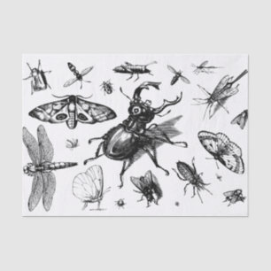 Assorted Bugs Black and Gray Tissue Paper