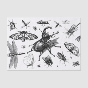 Assorted Bugs Black and Grey Tissue Paper