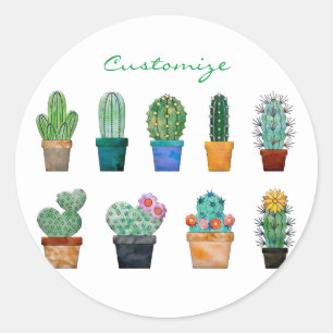 Assorted Cactus Plants Thunder_Cove Classic Round Sticker
