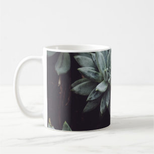 ASSORTED-COLOR SUCCULENT PLANT LOT COFFEE MUG