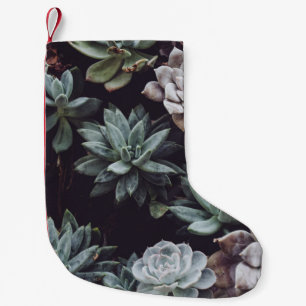 ASSORTED-COLOR SUCCULENT PLANT LOT SMALL CHRISTMAS STOCKING