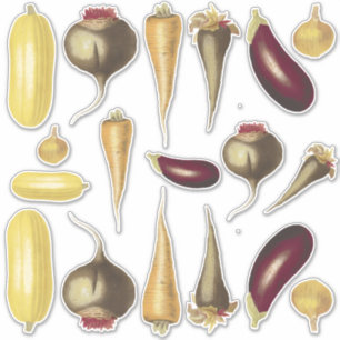 Assorted Colourful Vintage Vegetables Food Theme