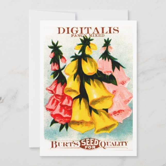 Assorted Digitalis Foxglove Seed Packet Invitation (Front)
