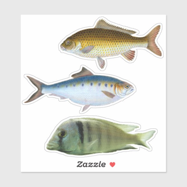 Assorted Fish Sticker (Sheet)