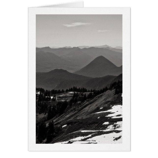 Assorted Landscape (Front)