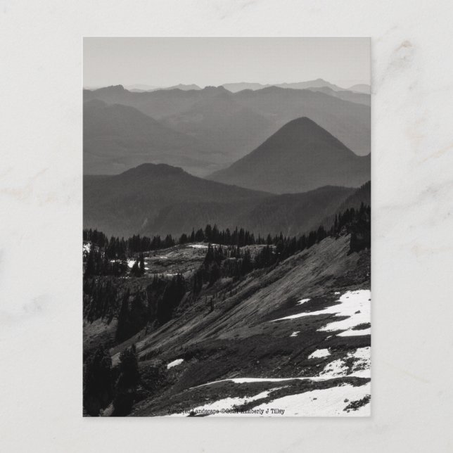 Assorted Landscape Postcard (Front)