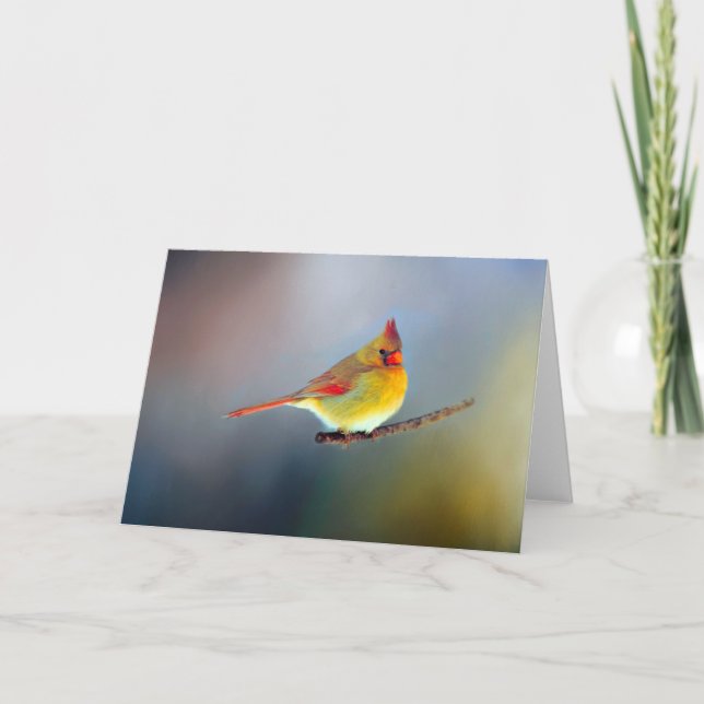 Assorted Note Cards (Front)