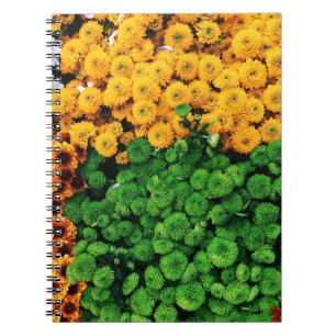Assorted petaled flowers notebook