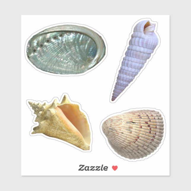 Assorted Seashells Sticker (Sheet)